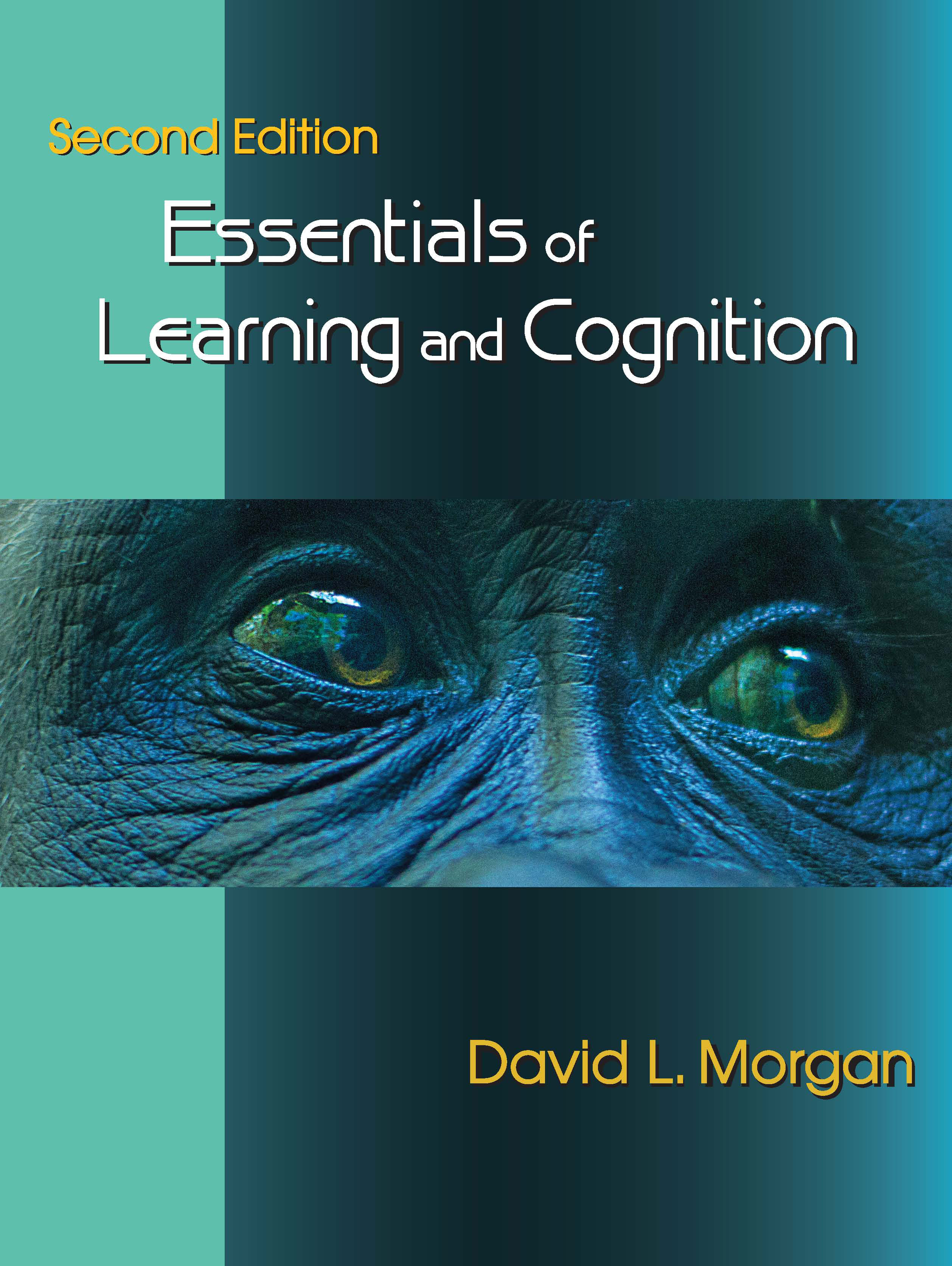 Essentials of Learning and Cognition: Second Edition by David L. Morgan